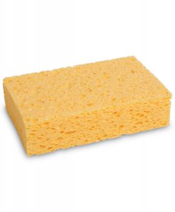Product categories Sponges : Boardwalk